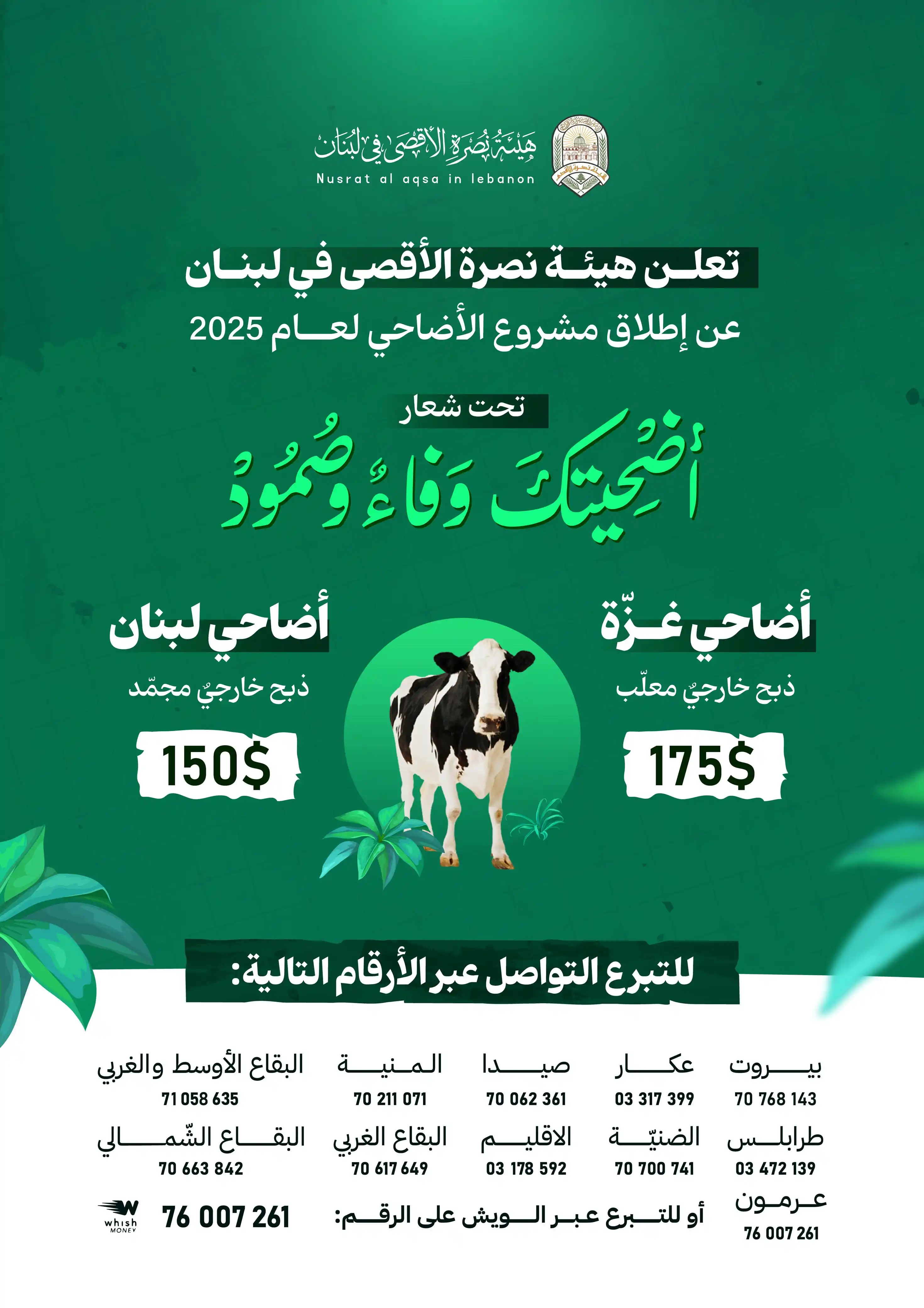 Image from هيئة نصرة الأقصى في لبنان: *أضحيتك رباط 🐄* ساهم وتبرّع واجعل أضحيتك لغزّة الوفاء والصّمود..  *<a...