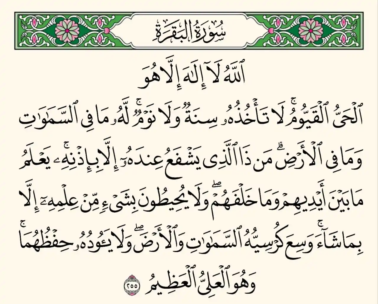 لعلها تكون سببا للنجاة💚 post