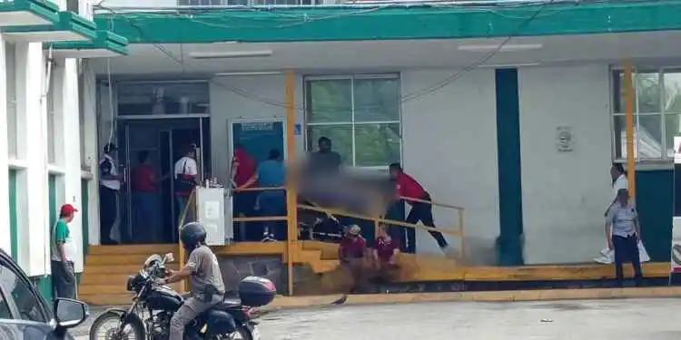 Image from Vox Populi Noticias: 😥🥭🥭Mientras cortaba mangos, hombre cae de árbol y resulta gravement...
