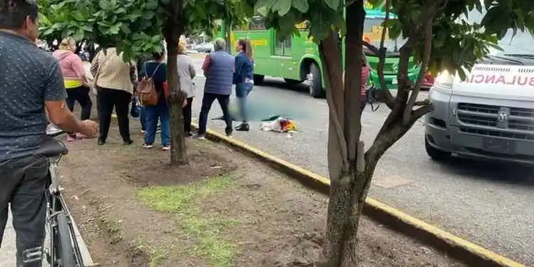 Image from Vox Populi Noticias: 😥😞Mujer muere atropellada por camión cuando iba a celebrar su cumple...