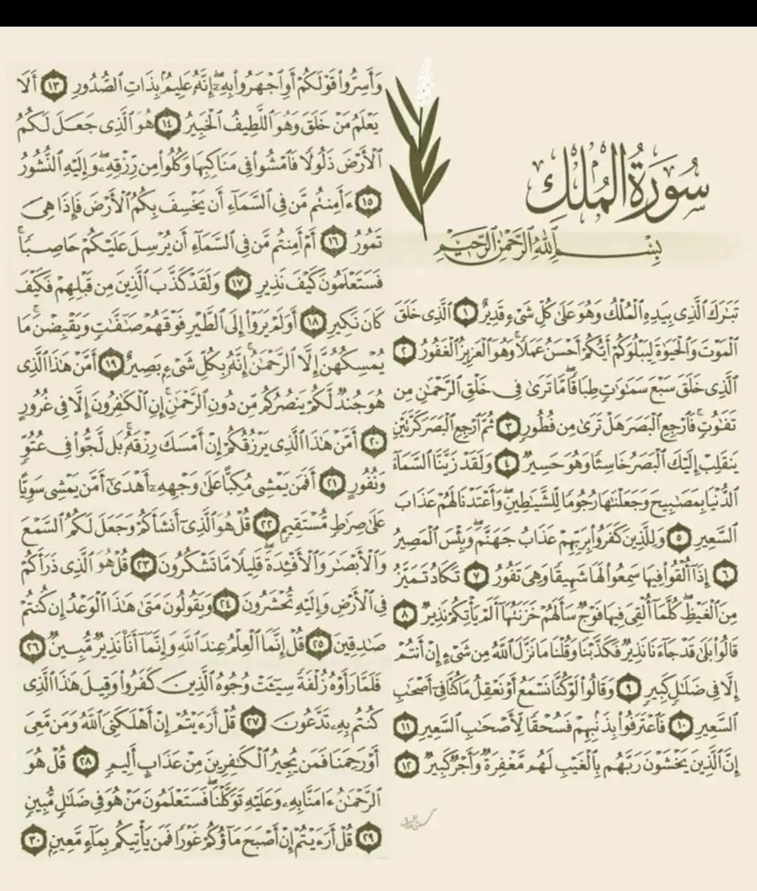 Image from لعلها تكون سببا للنجاة💚: ورد في فضل سورة الملك  أنها تشفع لصاحبها وتنجيه من عذاب القبر، فلا تنس...