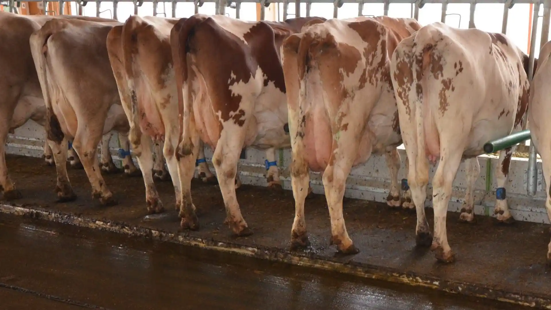 Agroscope_de post