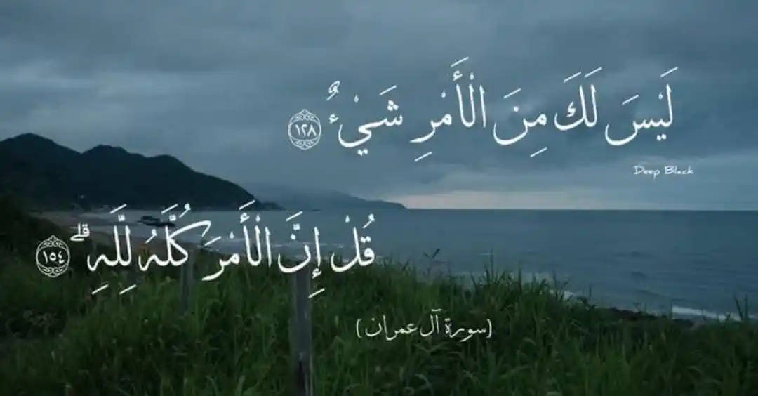 فَتاة تُحاوَل حَتۍ يَستجِيب ꨄ . post