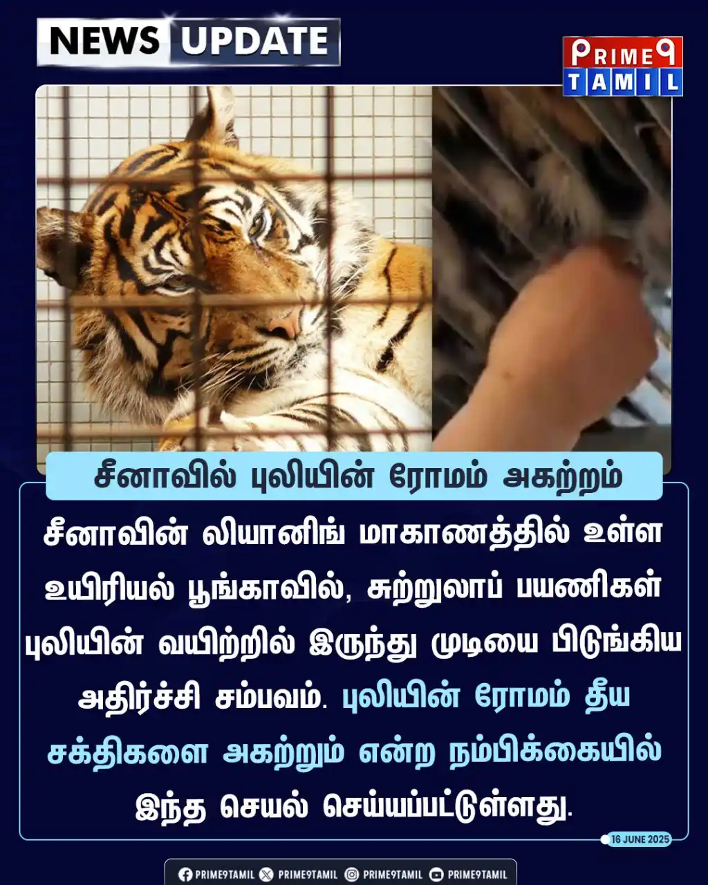 Image from PRIME9 TAMIL: சீனாவில் நடந்த இந்த அதிர்ச்சி சம்பவம் விலங்கு நல ஆர்வலர்களிடையே பெரும்...