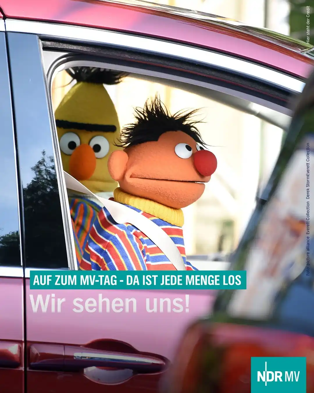 Image from NDR MV Nachrichten: ☀️ Die Sonne scheint, die Laune steigt und es gibt Grund zum Feiern: D...
