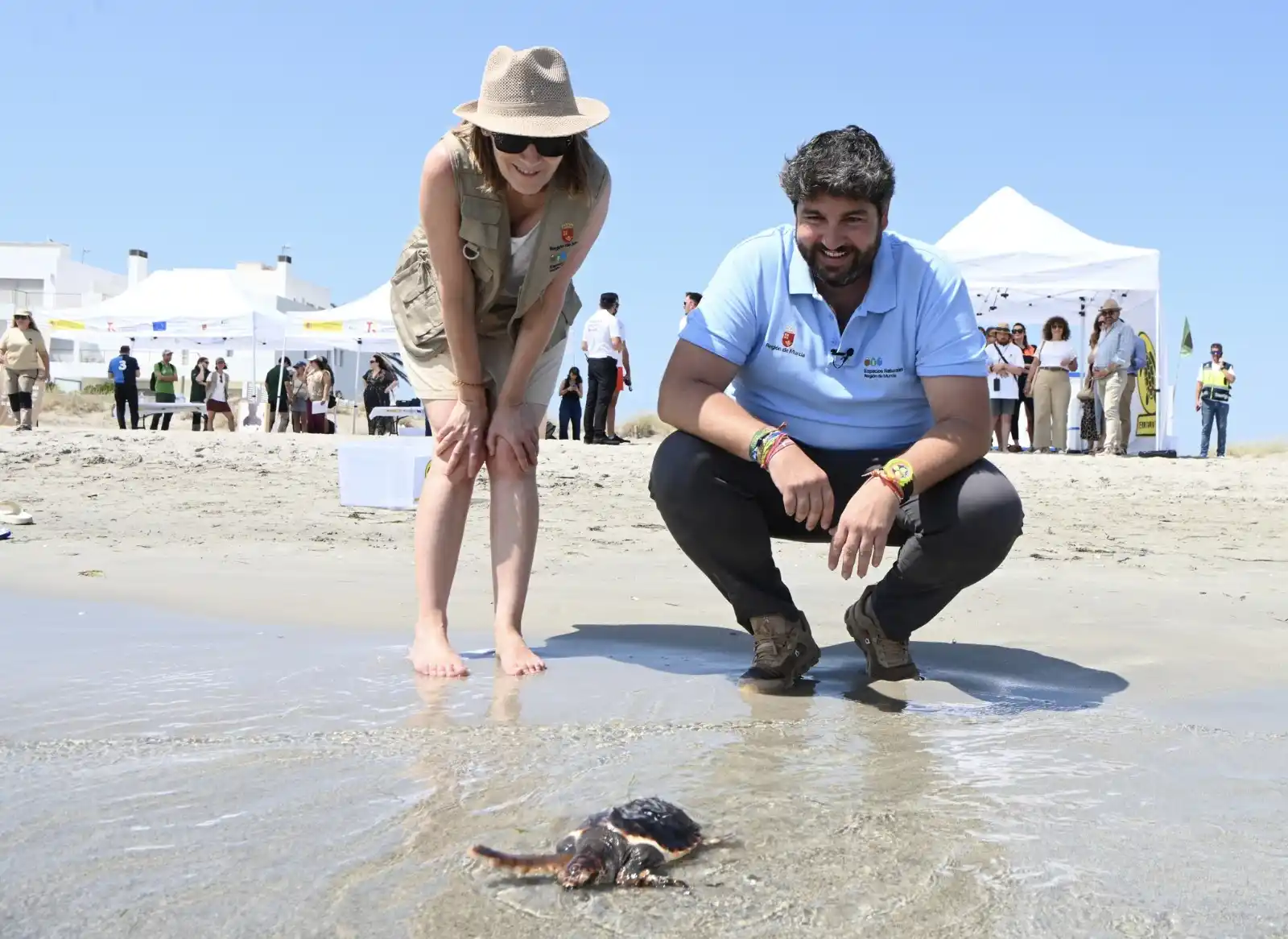 Image from Región de Murcia: 🐢 *El Gobierno regional libera 30 tortugas bobas en La Manga y prosig...