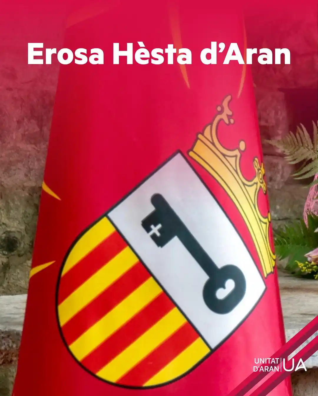 Unitat d’Aran post