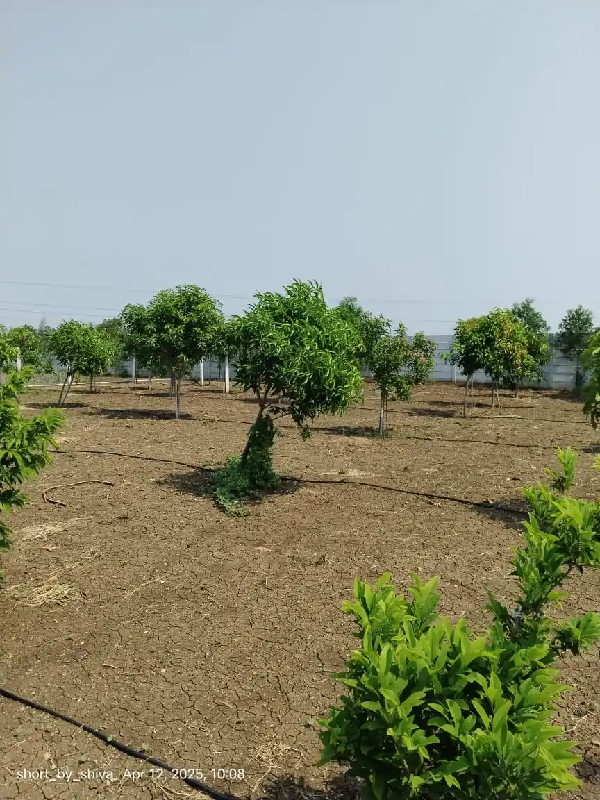 Image from ELIP PROPERTY: Farm land for sale ... Total Extent: 1 Acre * 1/2 km from Shankarpally...