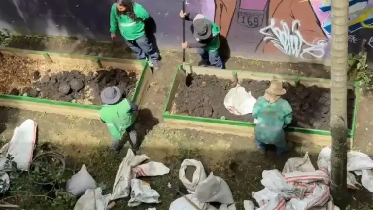 Image from Hora 13 Noticias: Más de 10 entidades limpiaron, sembraron y recuperaron zonas verdes de...