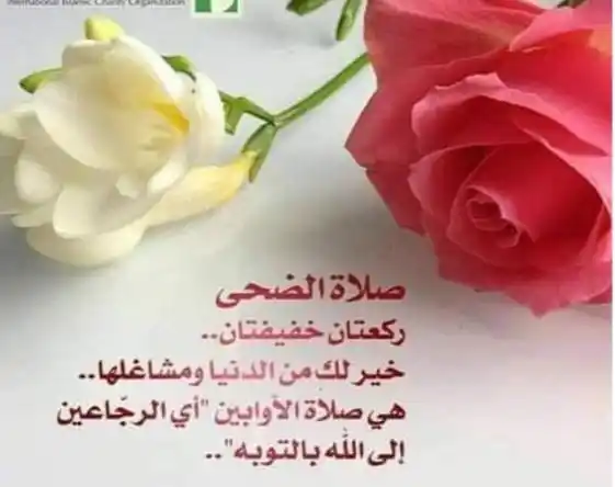 Image from وصَـــايَـــا الـࢪَسُــولﷺ. 🤍🎀 ¹⁴⁴⁵ قرآن اذكار احاديث ادعية احكام اقتباسات Islam: *ركعتي الضحى ؛ يسيرة العمل وعظيمة الفضل* *يكفيك أنها صدقة عن سائر ...