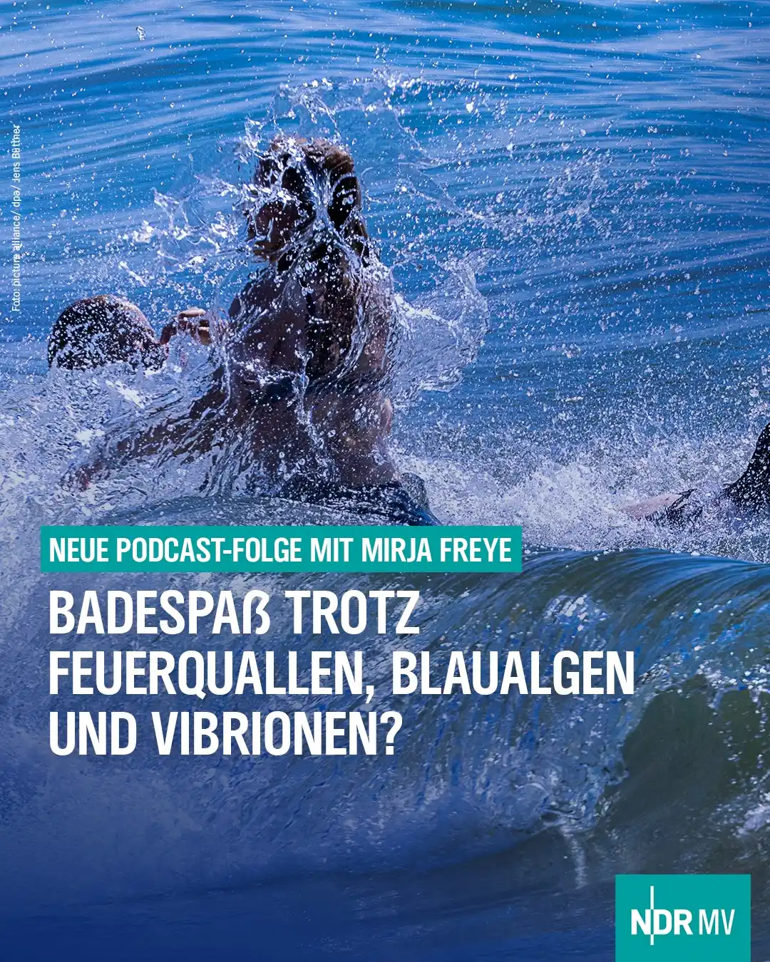 Image from NDR MV Nachrichten: Sommer und Ostsee: Ein Sprung ins Meer ist da genau das Richtige. Oder...