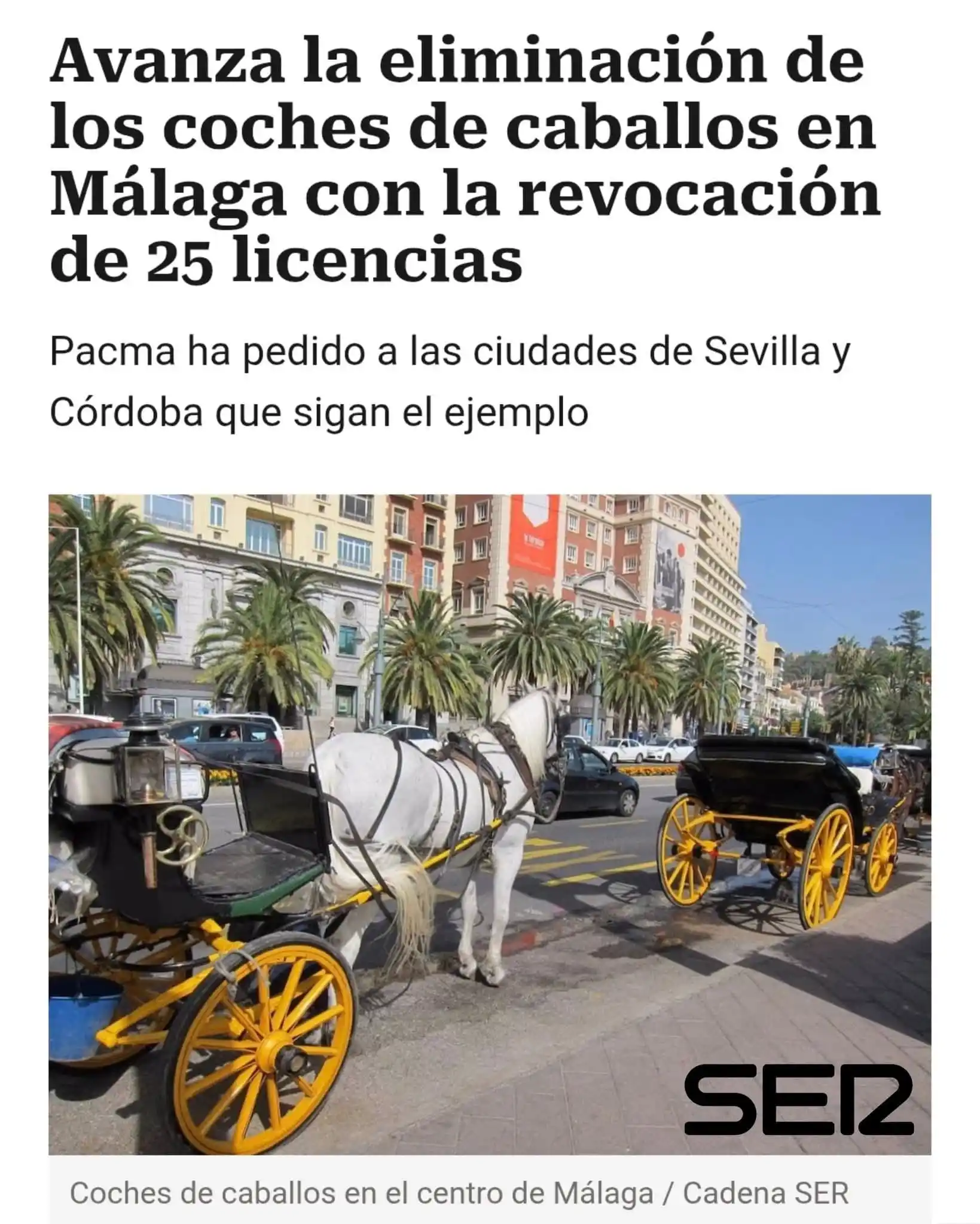 Image from PACMA MÁLAGA: ¡Buenas noticias! Como continuación a la solicitud de información qu...