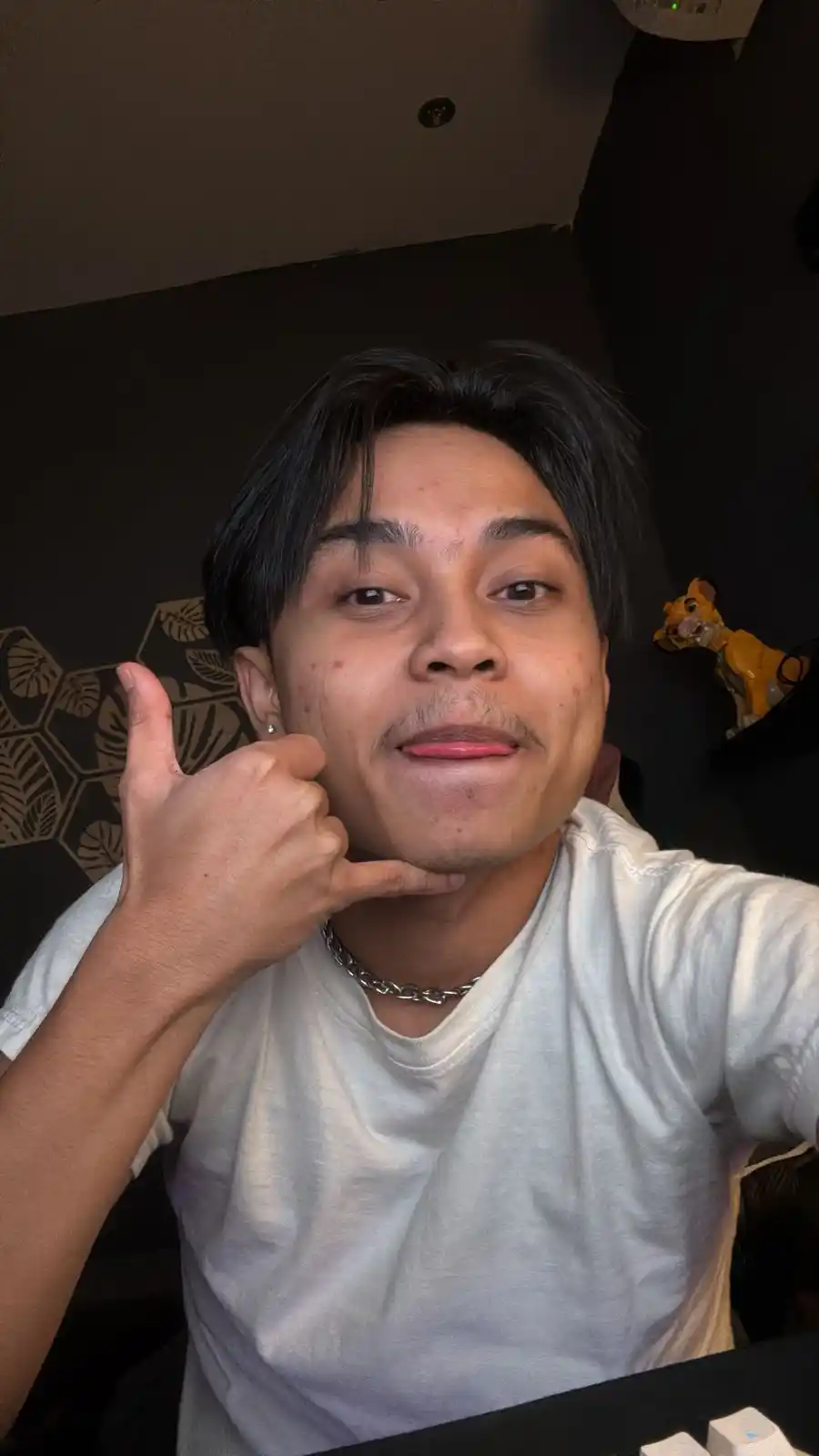Asev Rocky post