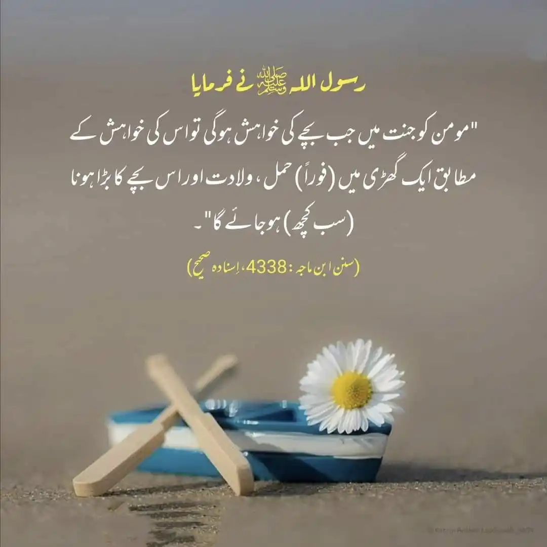 قرآن مجید و حدیث ❣️ post