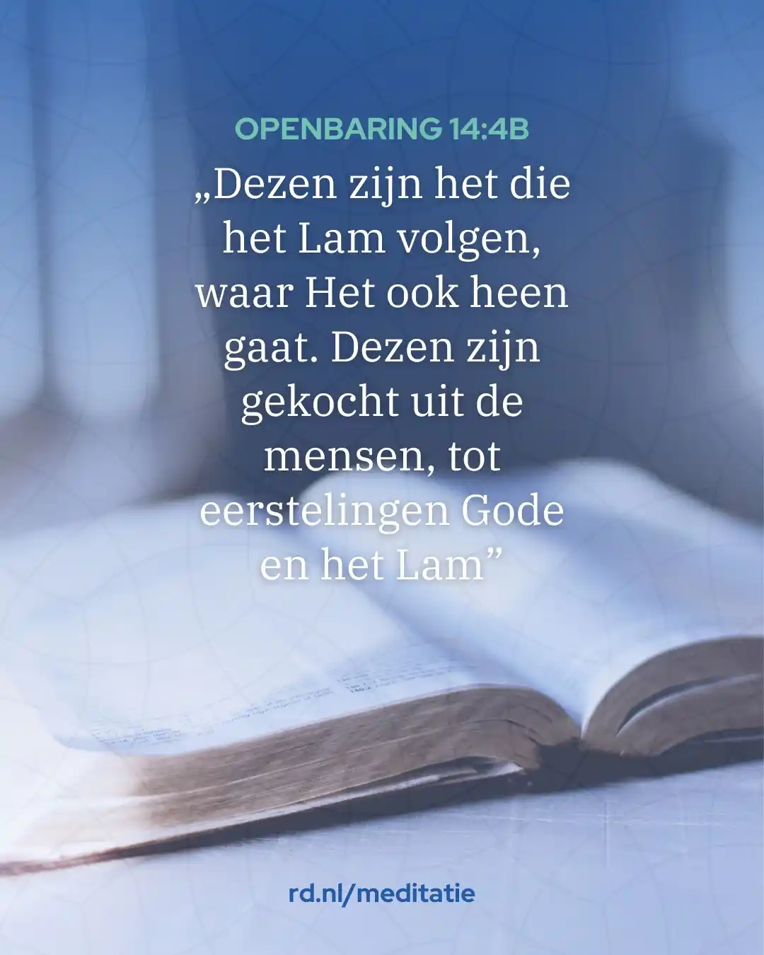 Image from Reformatorisch Dagblad: „Hij zegt ook: Die Mijn discipel wil zijn, neme zijn kruis op en volge...