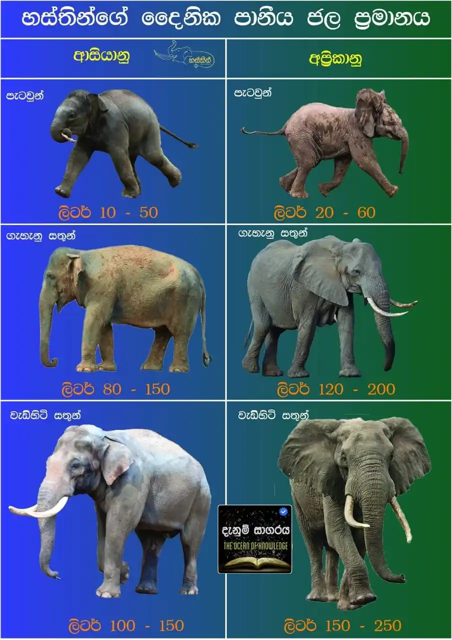 The Ocean Of Knowladge 💦🌎 ᵀᴹ post