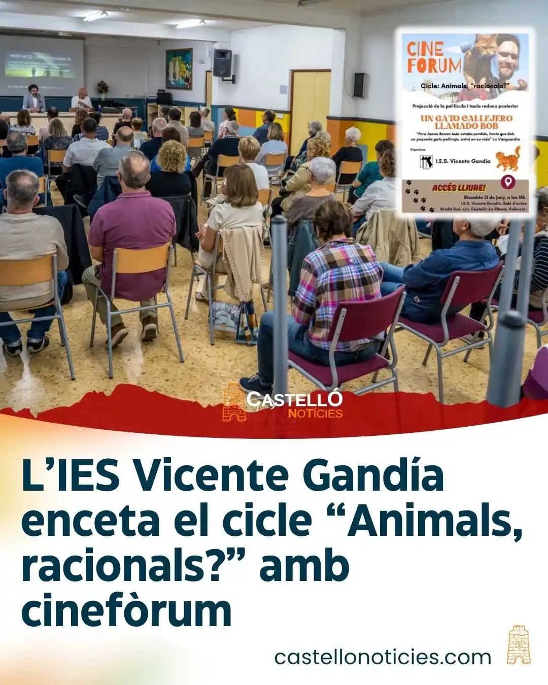 Image from InfoCastelló: L’IES Vicente Gandía enceta el cicle “Animals, racionals?” amb cinefòr...