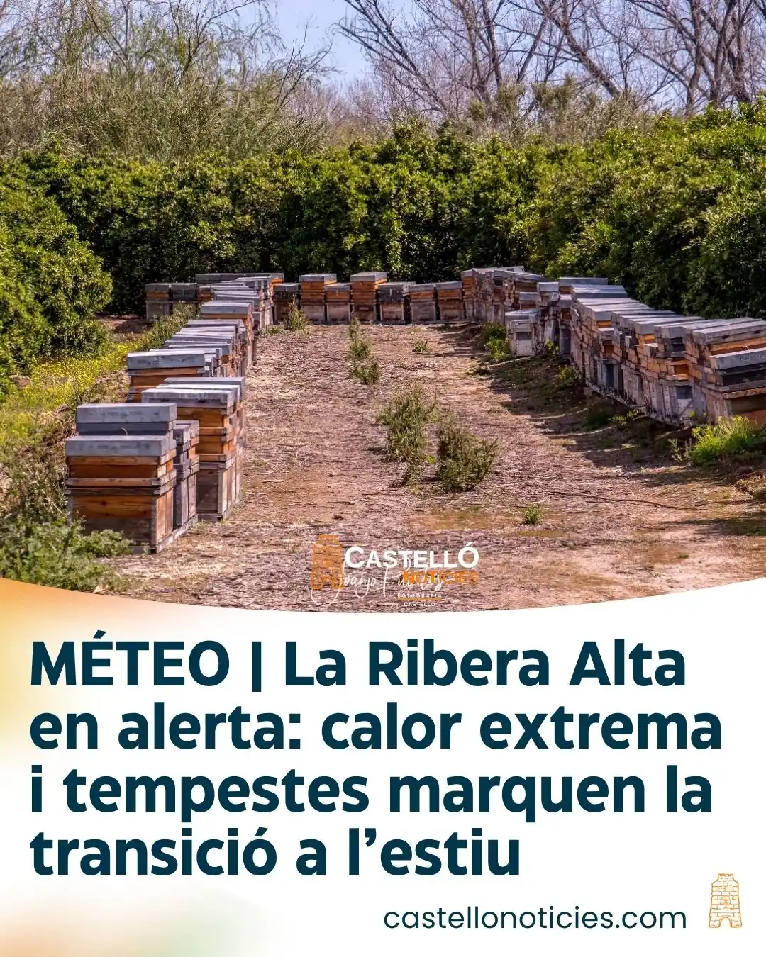 Image from InfoCastelló: MÉTEO | La Ribera Alta en alerta: calor extrema i tempestes marquen la...