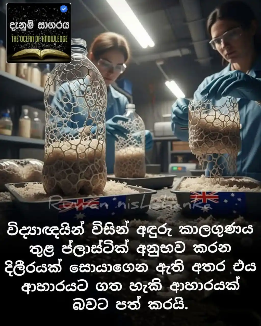 Image from The Ocean Of Knowladge 💦🌎 ᵀᴹ: ප්ලාස්ටික් ආහාර බවට පත් කරන දිලීරයක් සොයා ගන්නා ලදී.එය සම්පූර්ණ අන්ධකා...