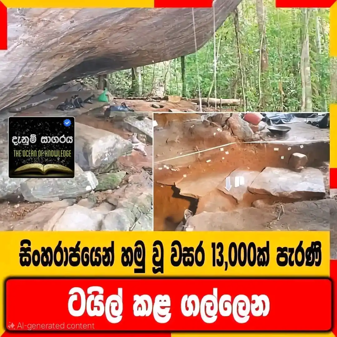 Image from The Ocean Of Knowladge 💦🌎 ᵀᴹ: `⭕සිංහරාජයෙන් හමු වූ වසර 13,000ක් පැරණි ටයිල් කළ ගල්ලෙන`  සිංහරාජ වනාන...