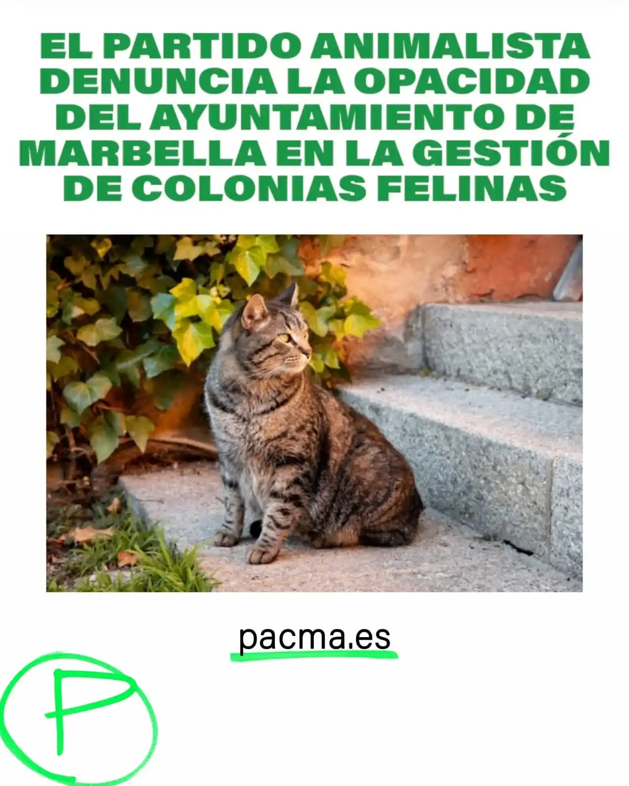 PACMA MÁLAGA post