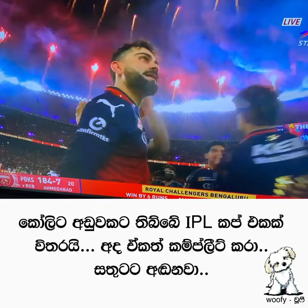 Image from 𝑺𝑳 𝑪𝑹𝑰𝑪 𝑰𝑵𝑭𝑶©🏏♥️🇱🇰: *අපි කොච්චර ඊරිසියා කරත් බලහං ඒ මනුස්සයාගේ මූණේ තියෙන අවංක සතුට🥹🔥❤️*...