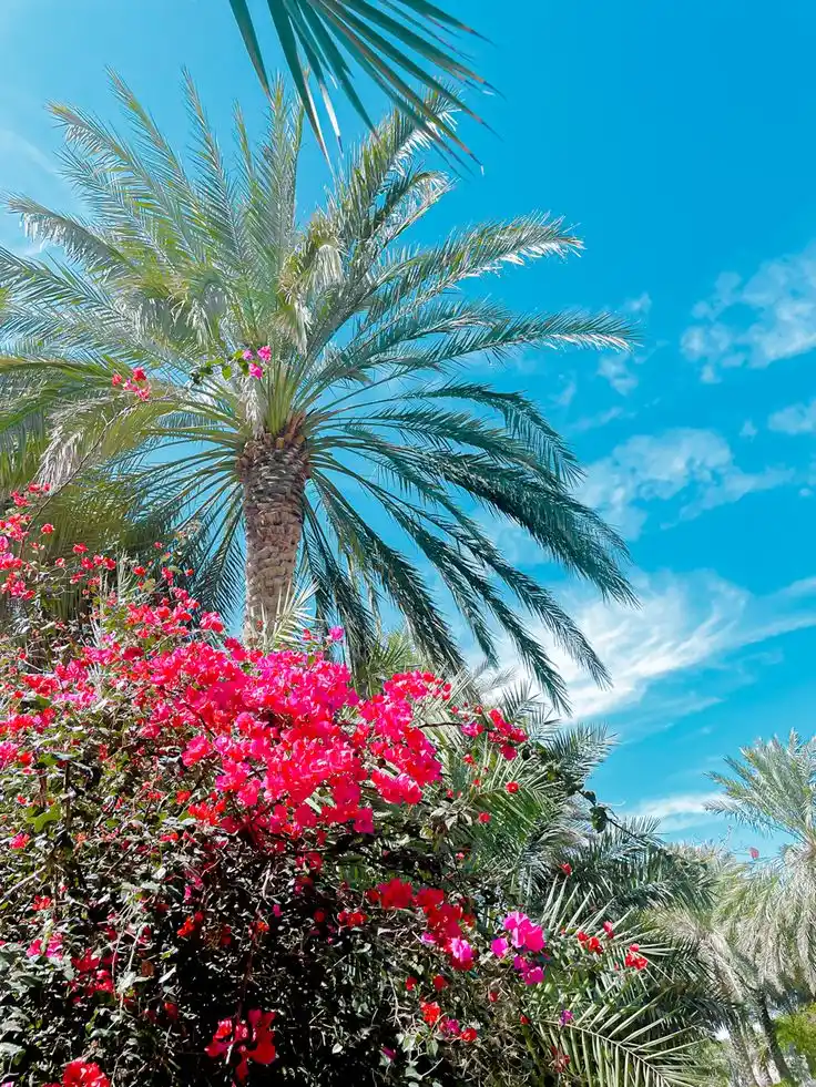 Image from أجمل ما قرأت: ☀ *<a class="text-blue-500 hover:underline cursor-pointer" href="/hash...