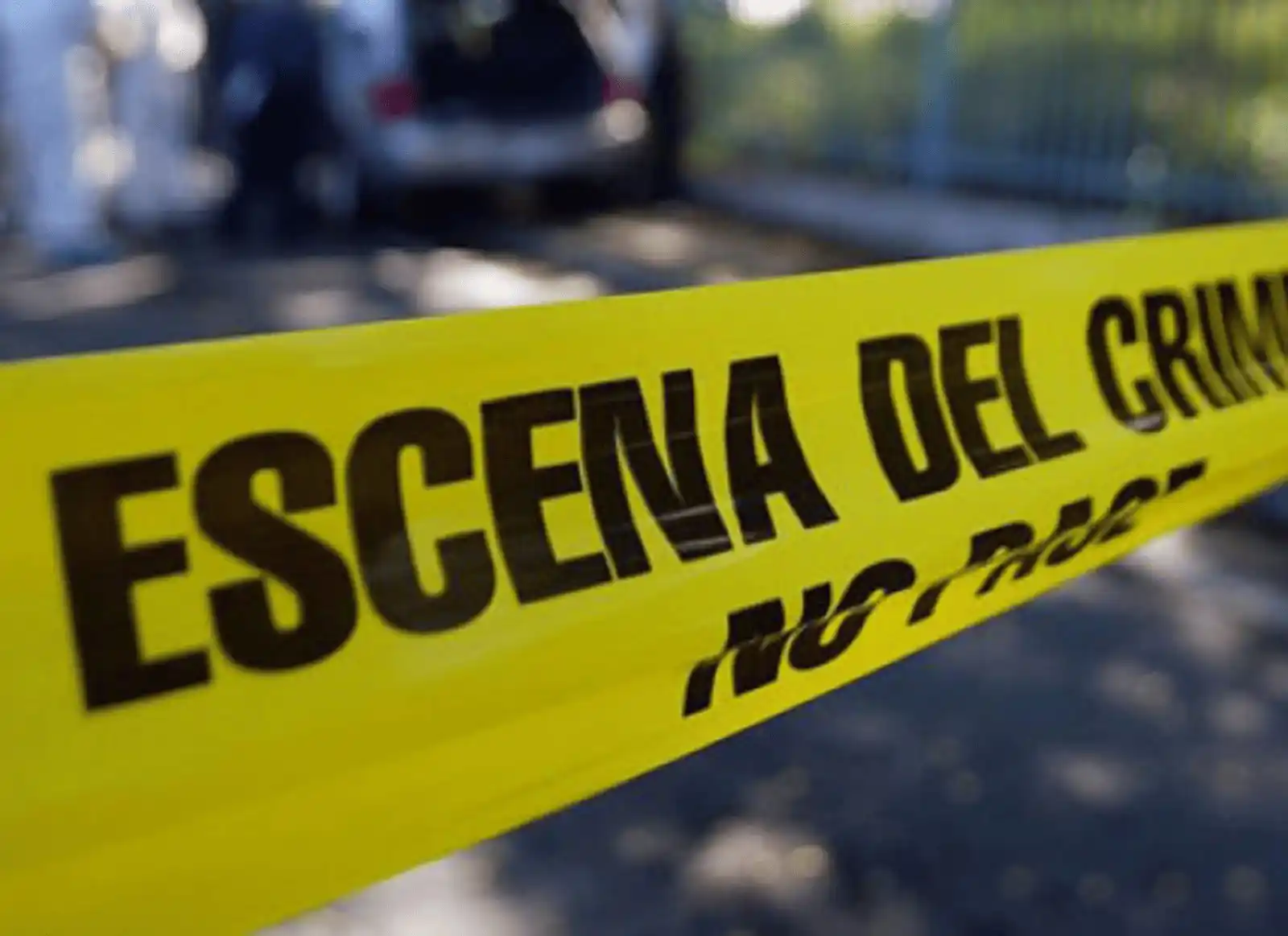 Image from Diario del Norte: <a class="text-blue-500 hover:underline cursor-pointer" href="/hashtag...