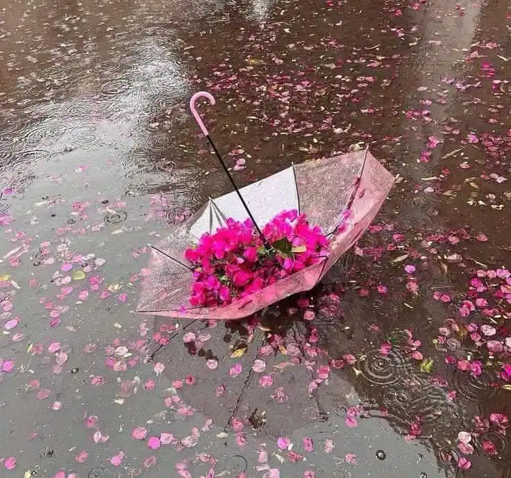 Image from أجمل ما قرأت: كلّما رأيت الناس يتفاخرون بالشهادات التي يحملونها، وبالكتب التي يقرأو...
