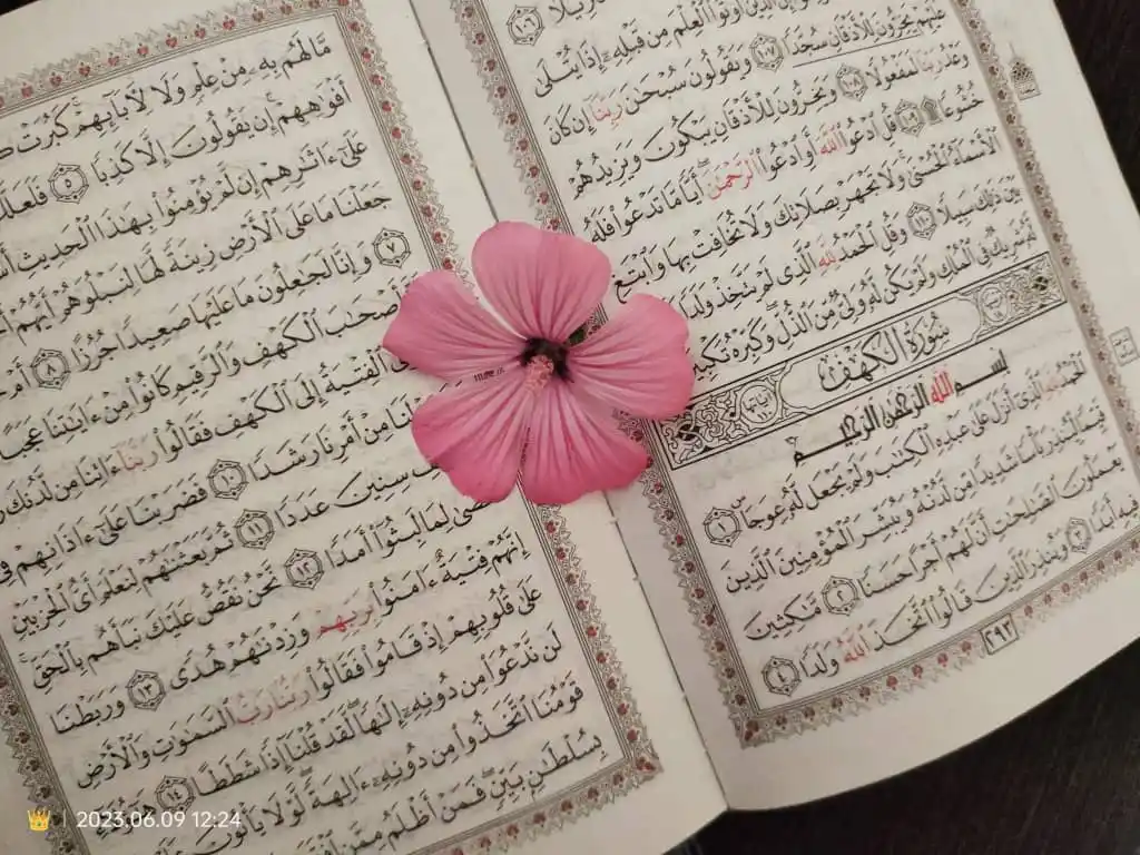 Image from أجمل ما قرأت: لا بأس.. هي دنيا، إيّاك أن تأخذك عن الغاية والهدف، إيّاك أن تُنسيكَ م...