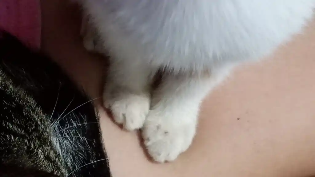 — 𝐀𝗌ɦ post