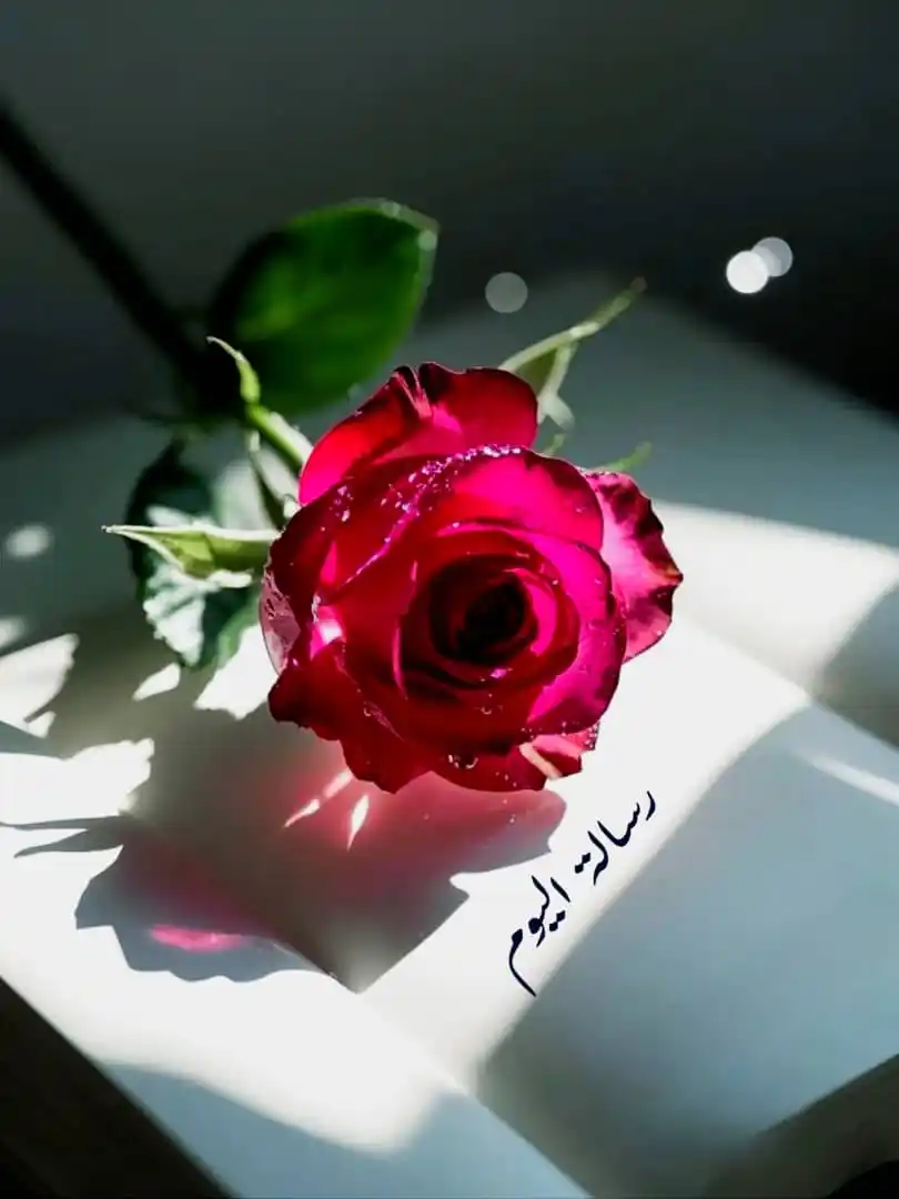Image from أجمل ما قرأت: `<a class="text-blue-500 hover:underline cursor-pointer" href="/hashta...