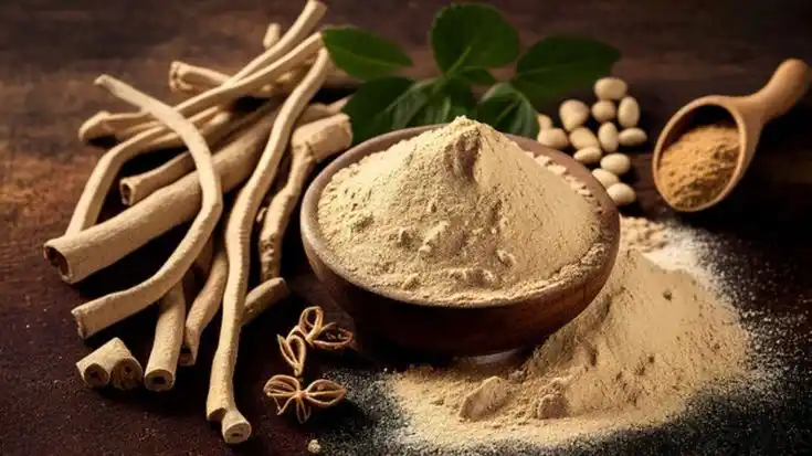 Image from Dreamy Ambivert: Ashwagandha (Withania somnifera) is a revered herb in Ayurveda, India'...
