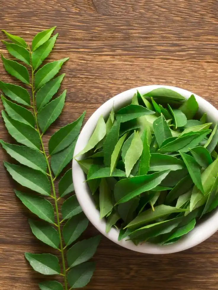 Image from Dreamy Ambivert: Curry leaves are a popular herb in Ayurveda, known for their medicinal...