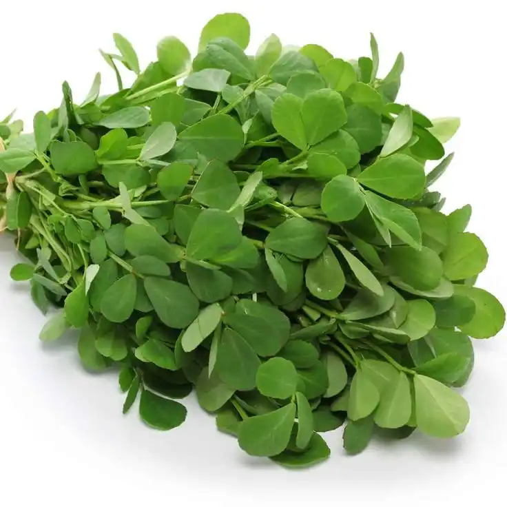 Image from Dreamy Ambivert: Fenugreek leaves, known as "Methi" in many Indian languages, are a pop...