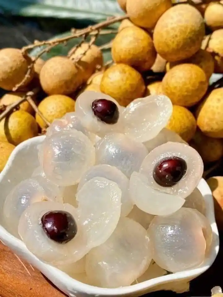 Image from Dreamy Ambivert: Longan fruit! 🍊  Longan (Dimocarpus longan) is a tropical fruit nativ...