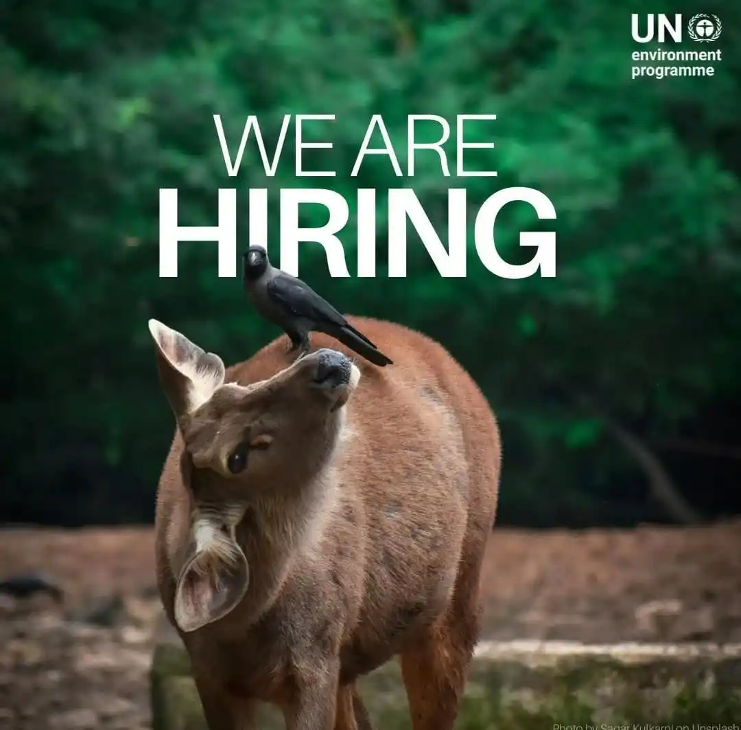 Image from Career Development Office -SSD: We can overcome today’s global environmental challenges, but only with...
