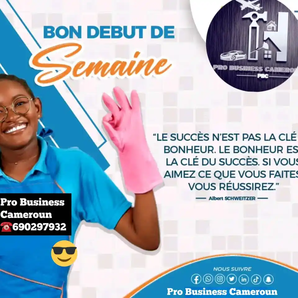 PRO BUSINESS CAMEROUN Sarl post