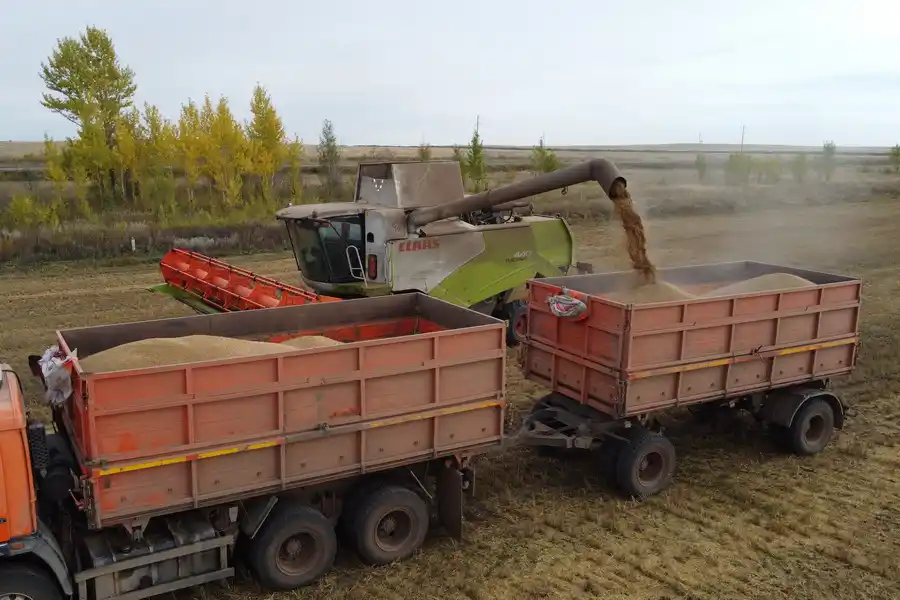 Image from ElDala.kz: *CLAAS сократит 1000 работников*  Производитель сельскохозяйственной т...