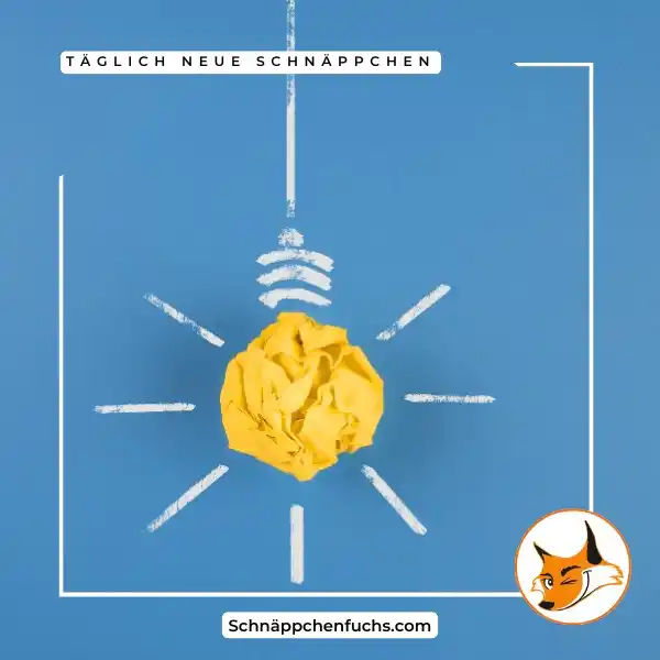 Schnäppchenfuchs post