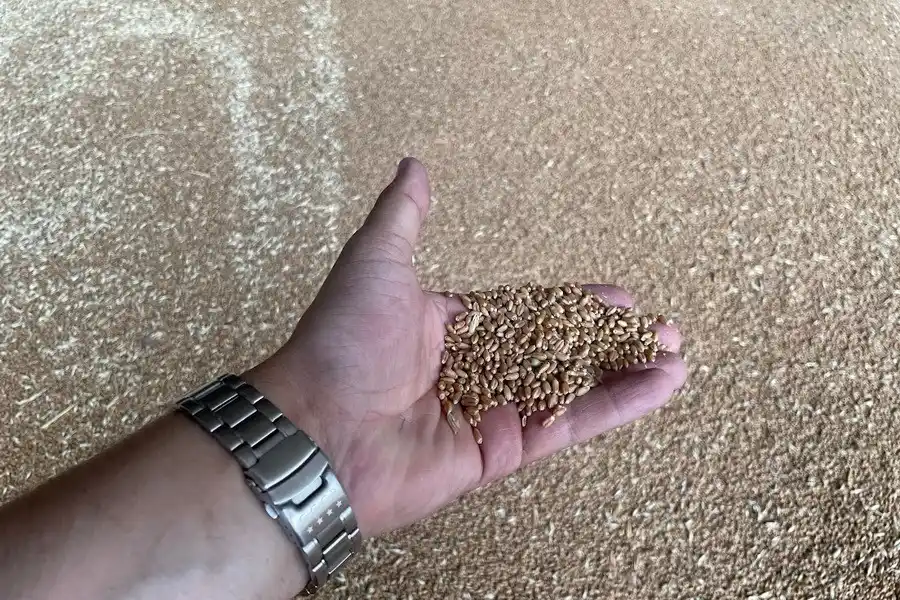 Image from ElDala.kz: *Минимальный уровень цен для импортеров сельхозпродукции введен в Каза...