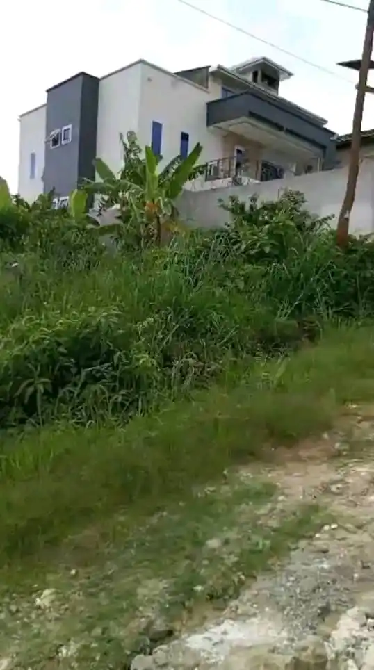 PRO BUSINESS CAMEROUN Sarl post