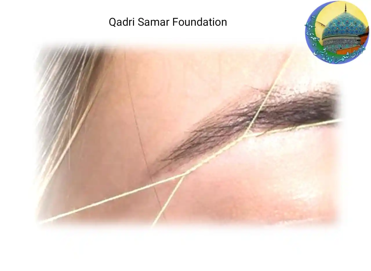 Image from Qadri Samar Foundation: 🌼✨🌼✨🌼✨🌼✨🌼 *Pyaare Aaqa Rasoolullaahﷺ Ne `Lanat` Farmaayi Hai* ...