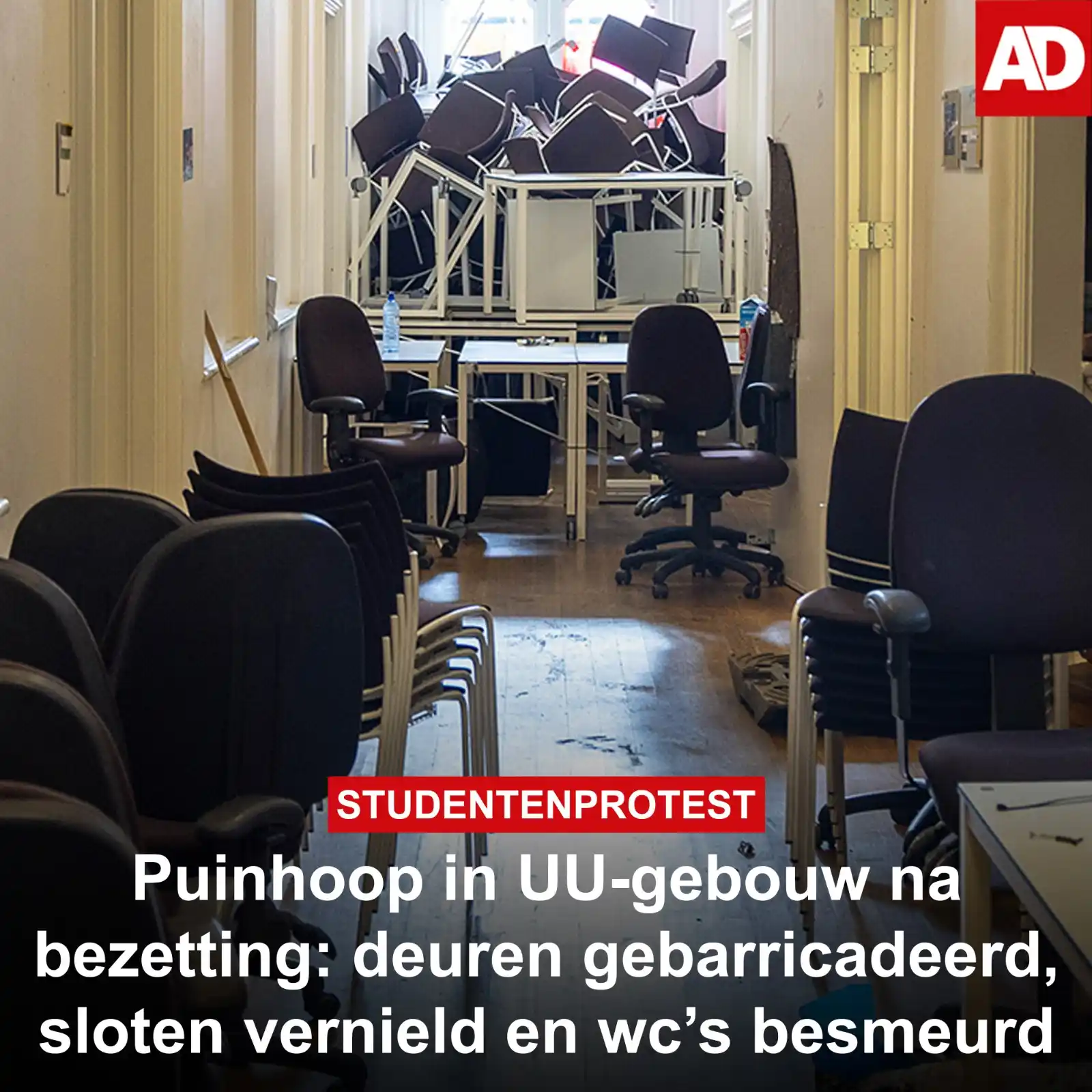 Image from AD Utrecht: Via een *kruipruimte* konden politieagenten vrijdagochtend het bezette...