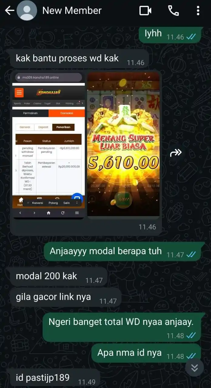 KAK DINSSE OFFICIAL 5 post