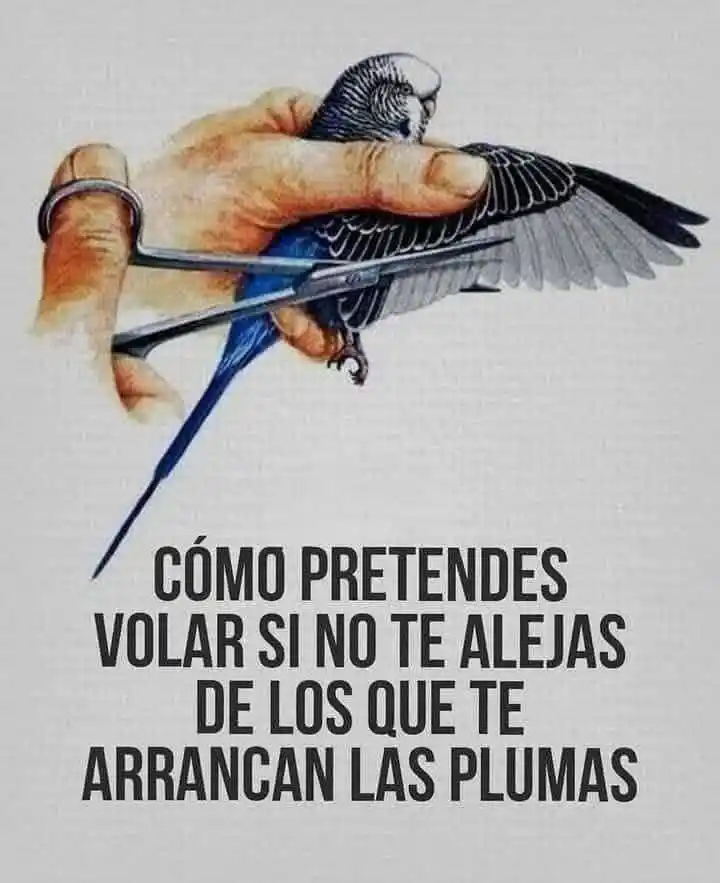 Image from VIBRAS POSITIVAS: ✂️🕊️ Prosa motivacional para volar más alto Hay personas que no te i...