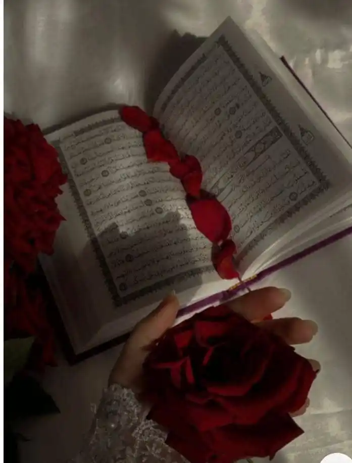 Image from 🖋️خٙاص ټپٙی–شِعٙرٙوْنٙه🌹: *دنیا تېرېدونکی سیوری دی،* خوندونه یې لنډ دي، او غفلت یې ډېر دی! خو آ...