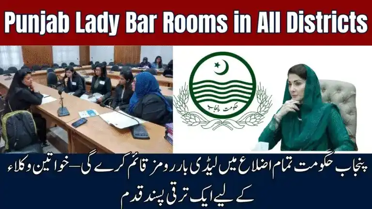 BISP 8171 Program post