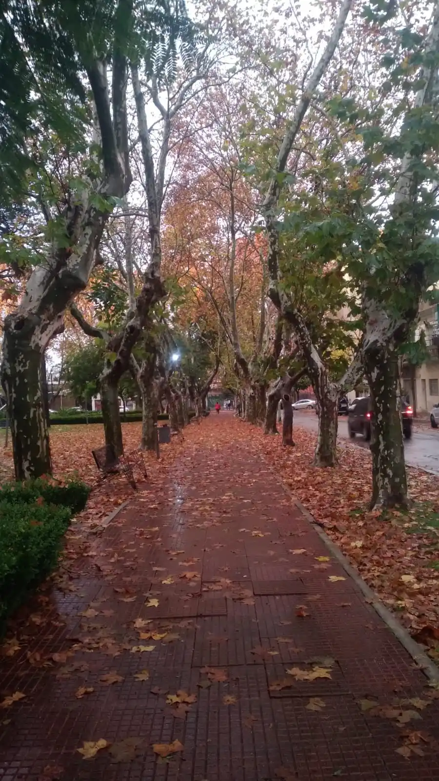 Satu Random News 🪐 post