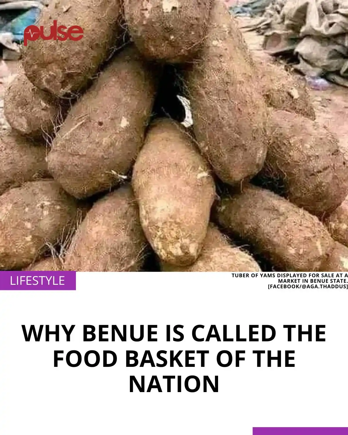 Image from Pulse Nigeria: Benue, a state located in the North Central part of Nigeria, has been ...
